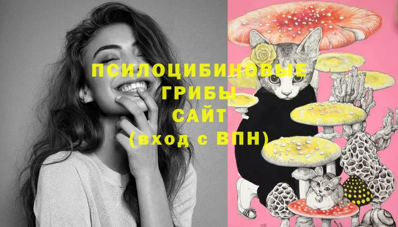 Галлюциногенные грибы Cubensis  даркнет сайт  Заполярный 